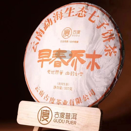 【古度】早春乔木普洱生茶