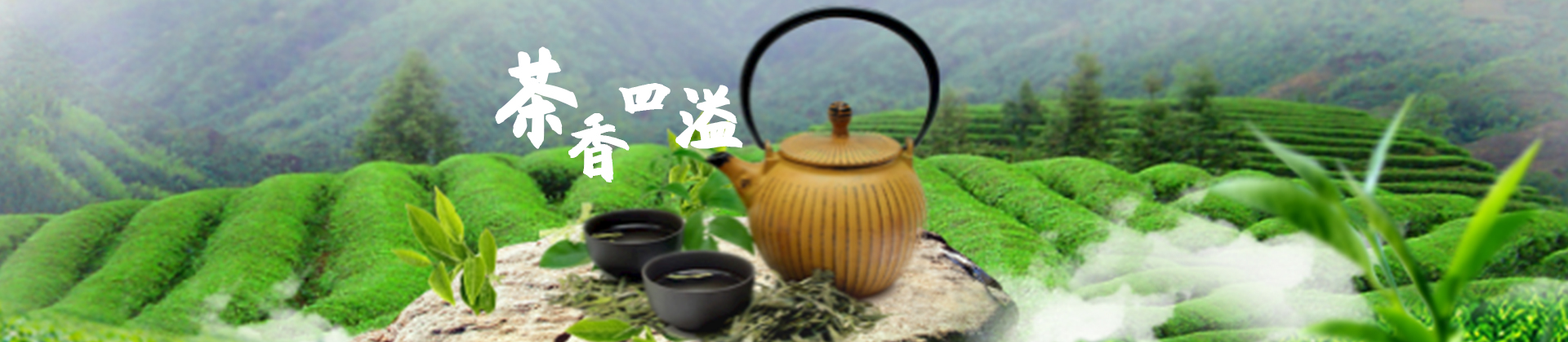 金巴利瓷砖