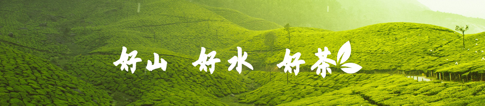 德嘉木业